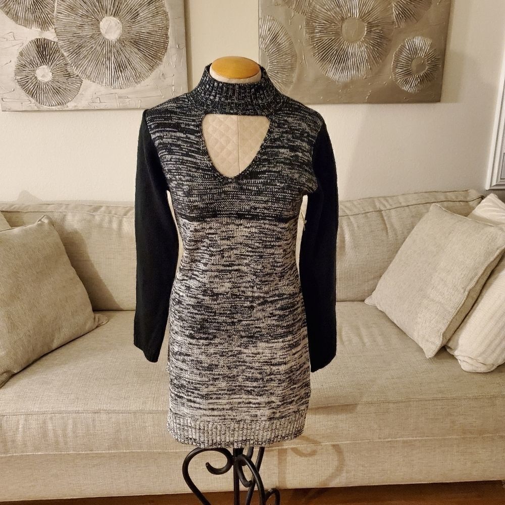 Papillon Cozy Sweater Dress sz Small